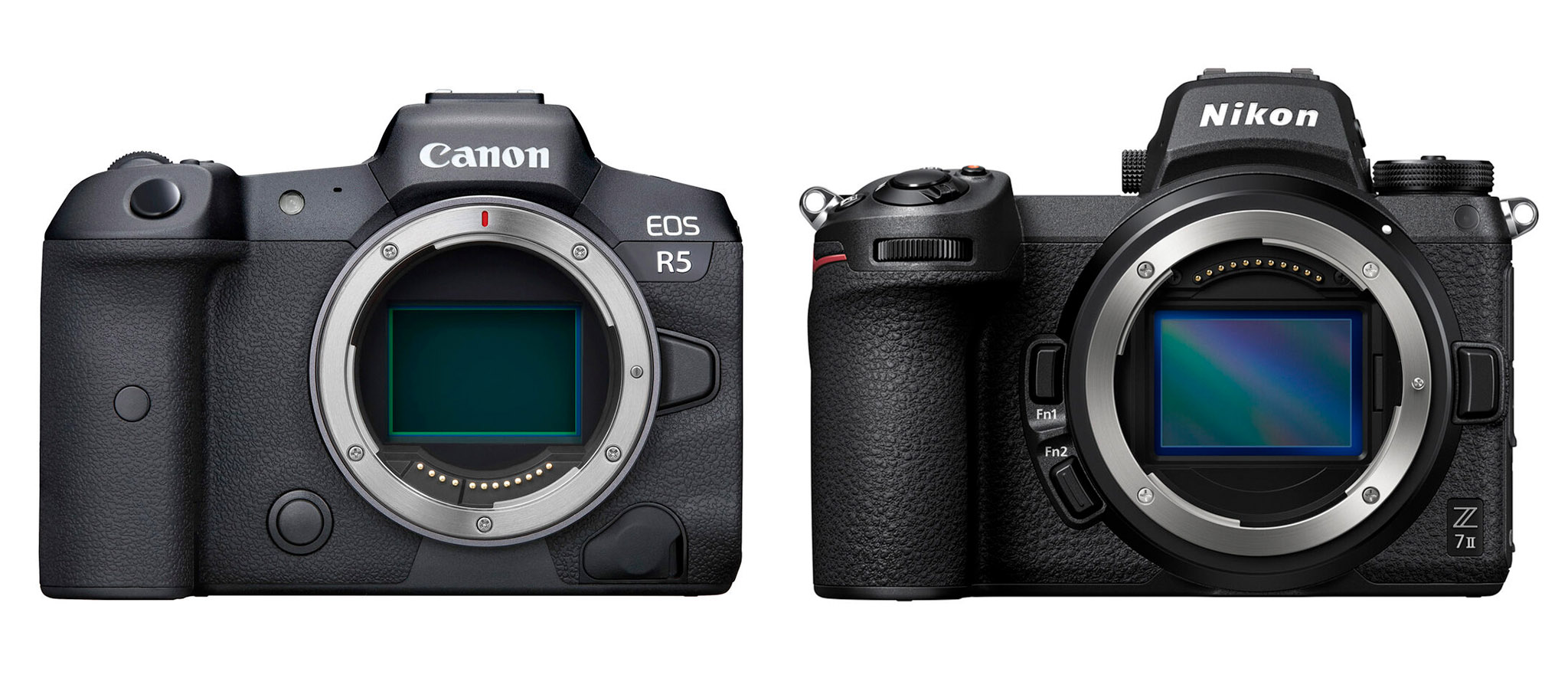 antenne lexicon Briesje Canon EOS R5 versus Nikon Z7 ii – The Gearblog