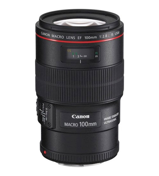 Rent a Canon EF 100Mm F/2.8L Macro IS USM Lens in Oisterwijk from Robbert