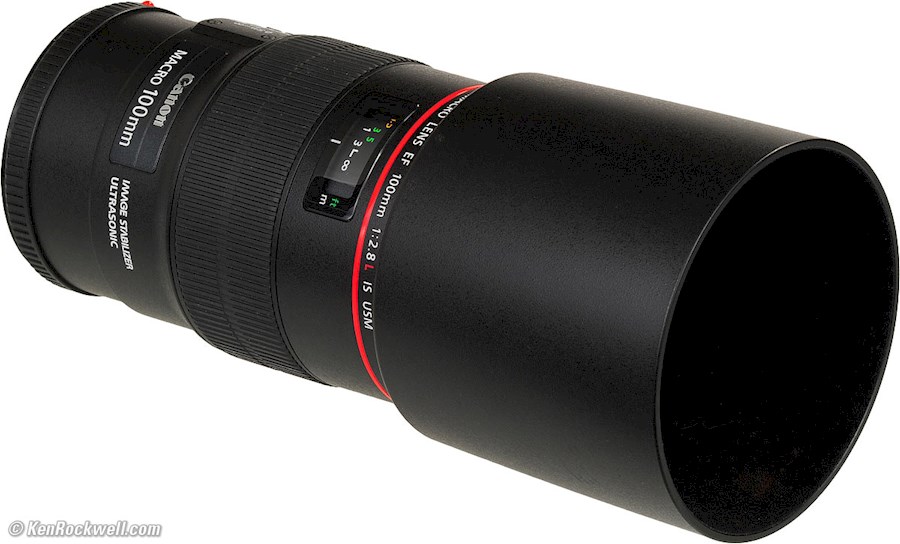 Rent a CANON EF 100MM F/2.8 L USM IS MACRO + ET-73 in Almere from Andrew