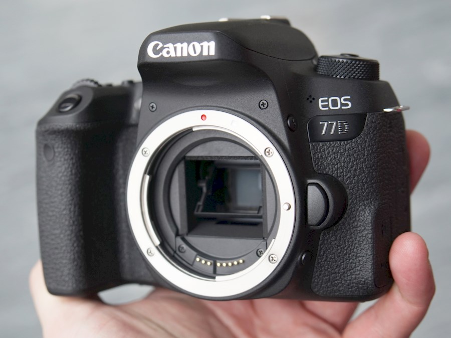 Rent Canon 77D from Kristof