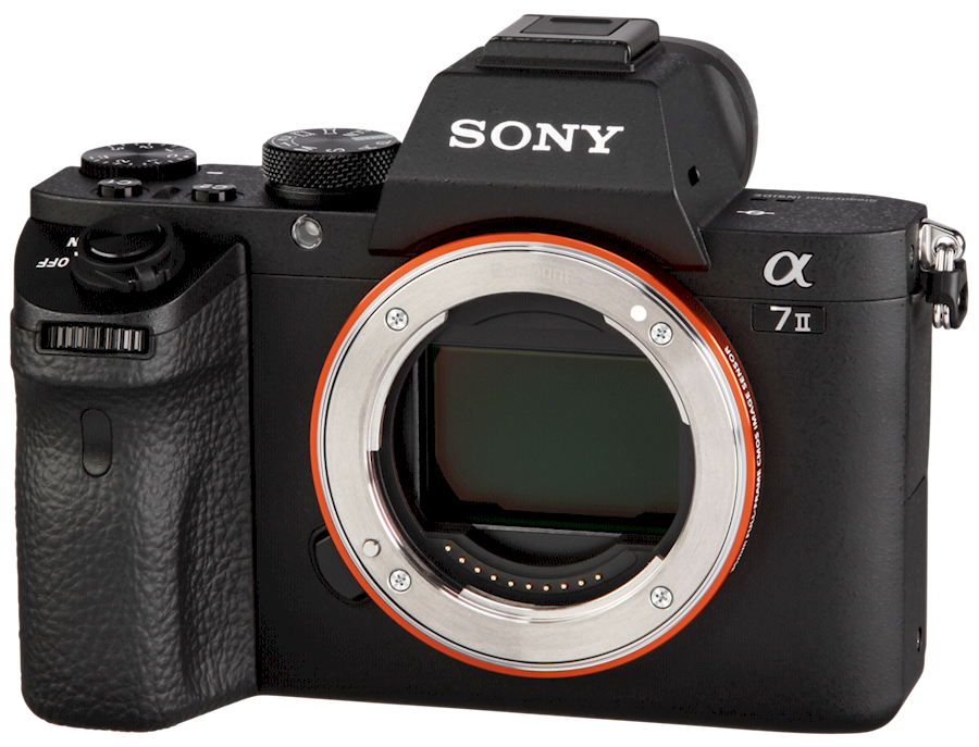 Rent Sony A7 Mark II from Dominick