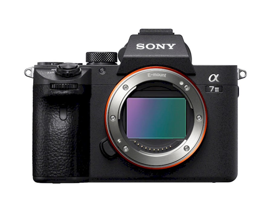 Rent sony a7III from Wesley