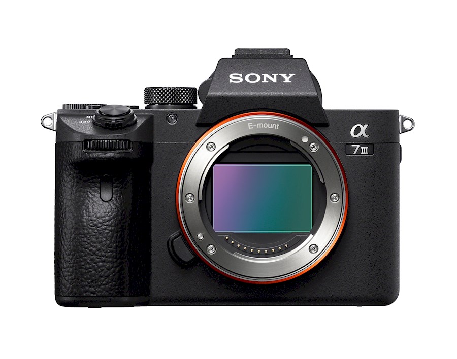 Rent Sony A7 III from Guillo