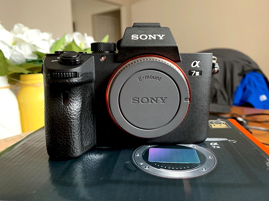 Rent SONY A7III FULL FRAME ... from Thomas