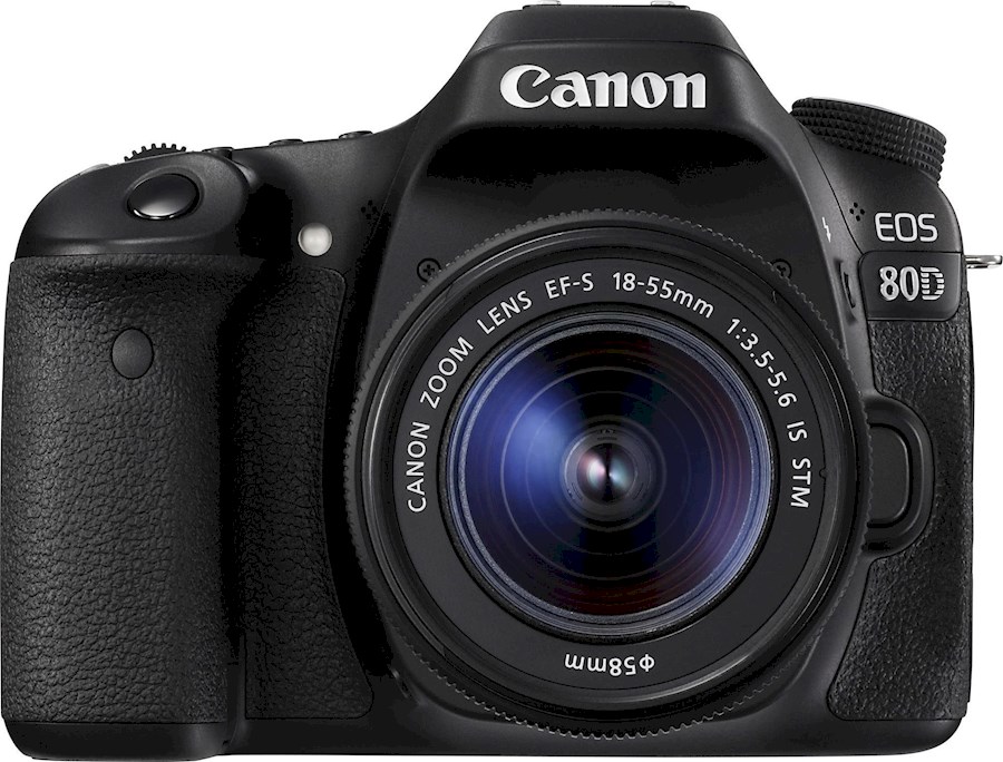 Rent Canon 80d camera from Fabienne