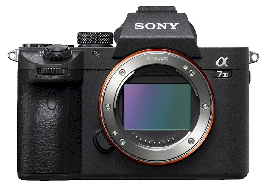Rent Sony A7III body from Danique