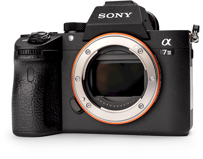 Rent Sony A7III from Tom