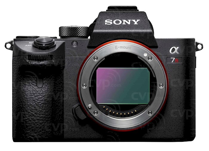 Rent Sony A7III from Paul