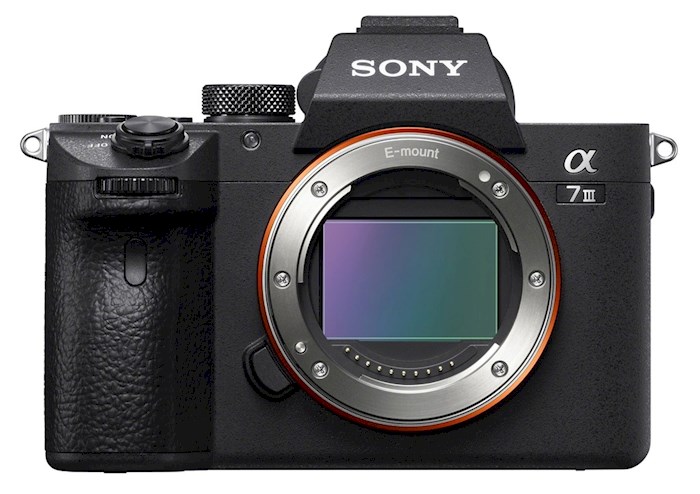 Rent Sony A7III body from DANIEL VINCENT