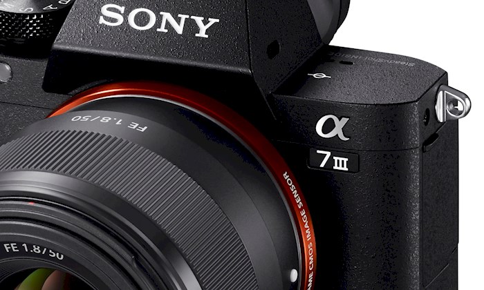 Rent Sony A7iii from Melvin